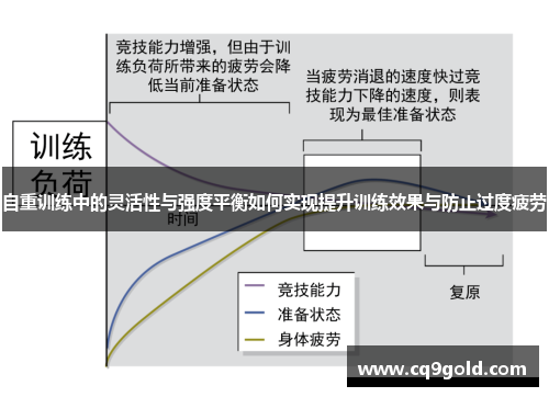 自重训练中的灵活性与强度平衡如何实现提升训练效果与防止过度疲劳